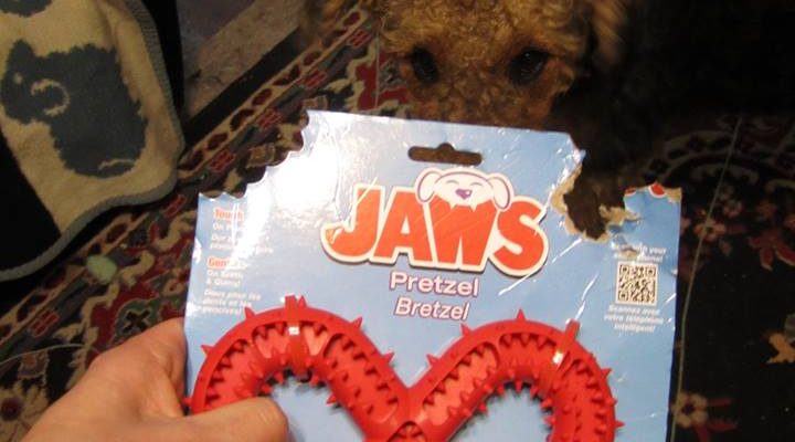 JAWS, The Pretzel